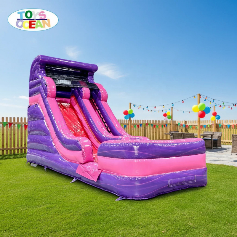 大人気の紫とピンクのインフレータブルウォータースライド（プー - Water Slide Inflatable のレビューと価格